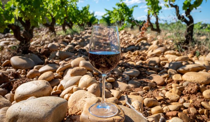 Glass of Red Dry Wine