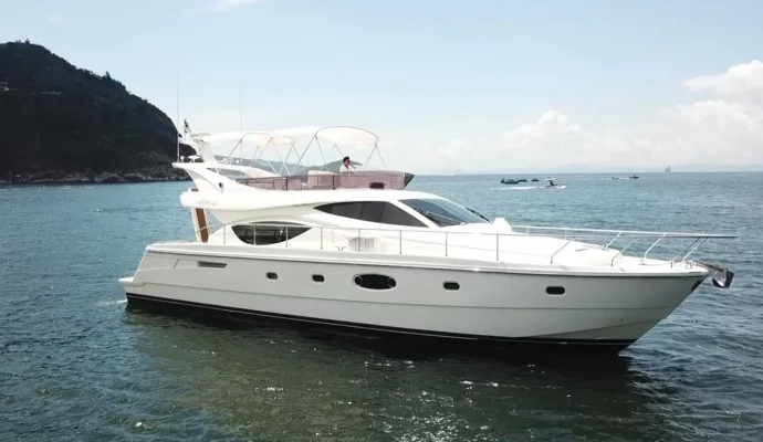 FerretTI 550